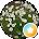 Tracers Avatar