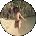 Osiris Funes Avatar