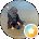 ALI Avatar