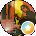 Nom Deavers Avatar