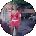 Sandra Wiltshire Avatar