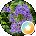 Lynn Alberts Avatar
