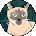 T Dawn Avatar