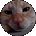 J Hall (felisfanaticus) Avatar