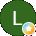 L L Avatar