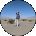 Andrew Allen Avatar