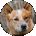 Sherry Fatzinger Avatar