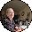Sandra Jones Avatar