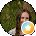 Tabitha Bump Avatar