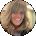 Stephannie Lutz Avatar