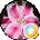 Erika D Avatar