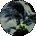 Palm Palm Avatar