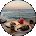 Brenda Hernandez Avatar