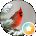 Diane Aleccia Avatar