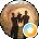 SJ Anderson Avatar