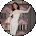 Bridget Payano Avatar