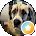 CRain Avatar
