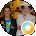 Michelle Hirschi Avatar