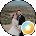 Emily Weiss Avatar