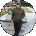 Damir Gimaev Avatar