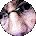John Lutter Avatar