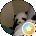 Fusco LW Magiere Avatar