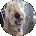 Marlo Grey Avatar
