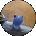 Suzeq Avatar