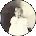 Christine S Avatar