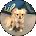 C L Avatar