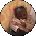 Ashley Ogletree Avatar