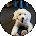 Donna Avatar