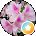 Katharine J. Rose Avatar