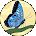 JuneBug Avatar