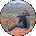 Tay Avatar