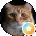 Mel Ster Avatar