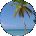 Kourtney Williams Avatar