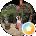 SK Avatar