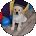 Amy M Avatar