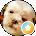 dena b Avatar
