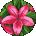 Melinda Prather Avatar