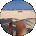 Adrianne Patterson Avatar