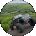 Robert Murphy Avatar