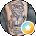 S Brown Avatar