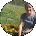 Danielle Prewett Avatar