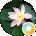 KC Avatar