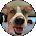 Julie C Avatar
