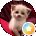 Dorline Bosboom Avatar
