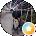 Garrett Goines Avatar