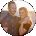 Jessie Beckman Avatar